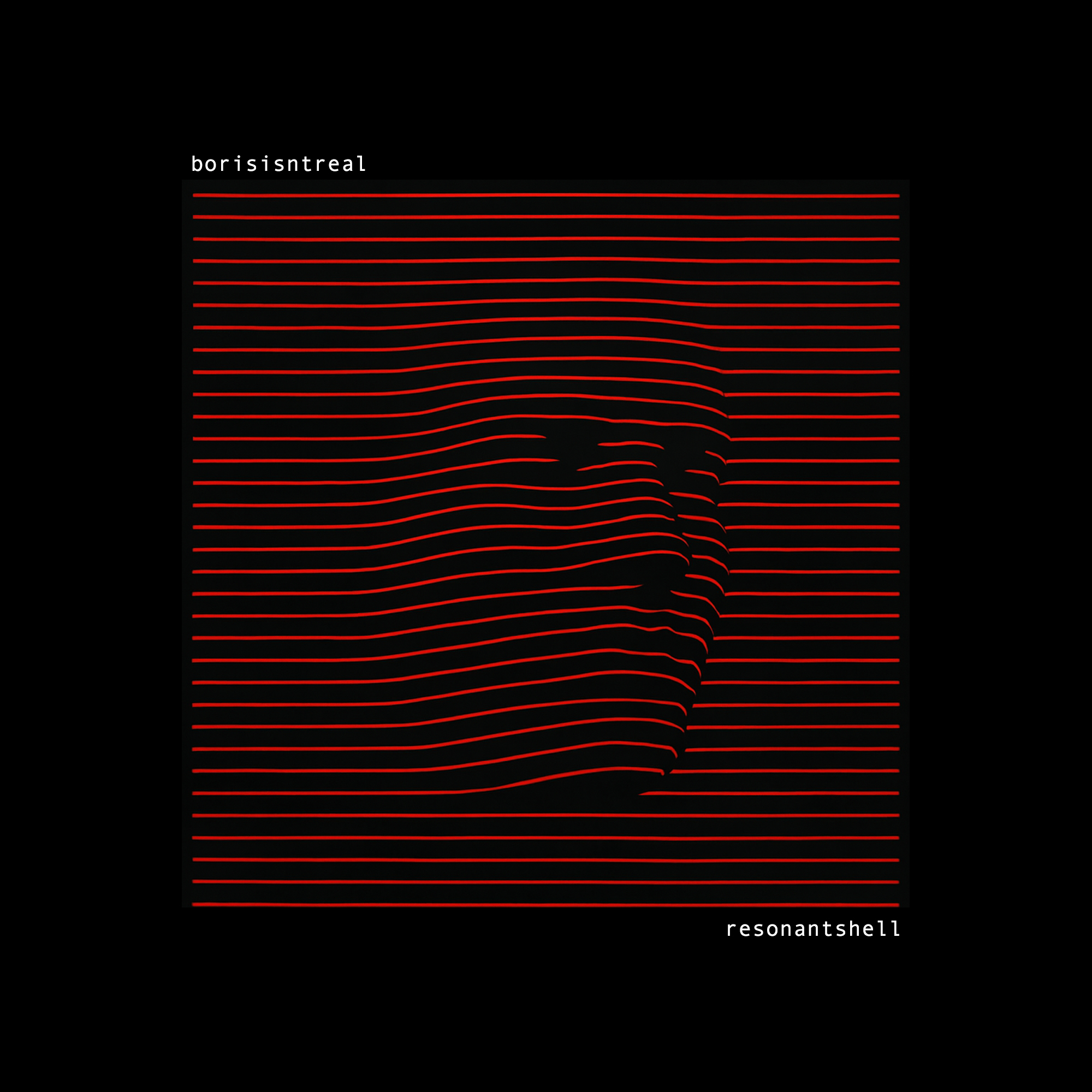 detail img for "borisisntreal: resonantshell"