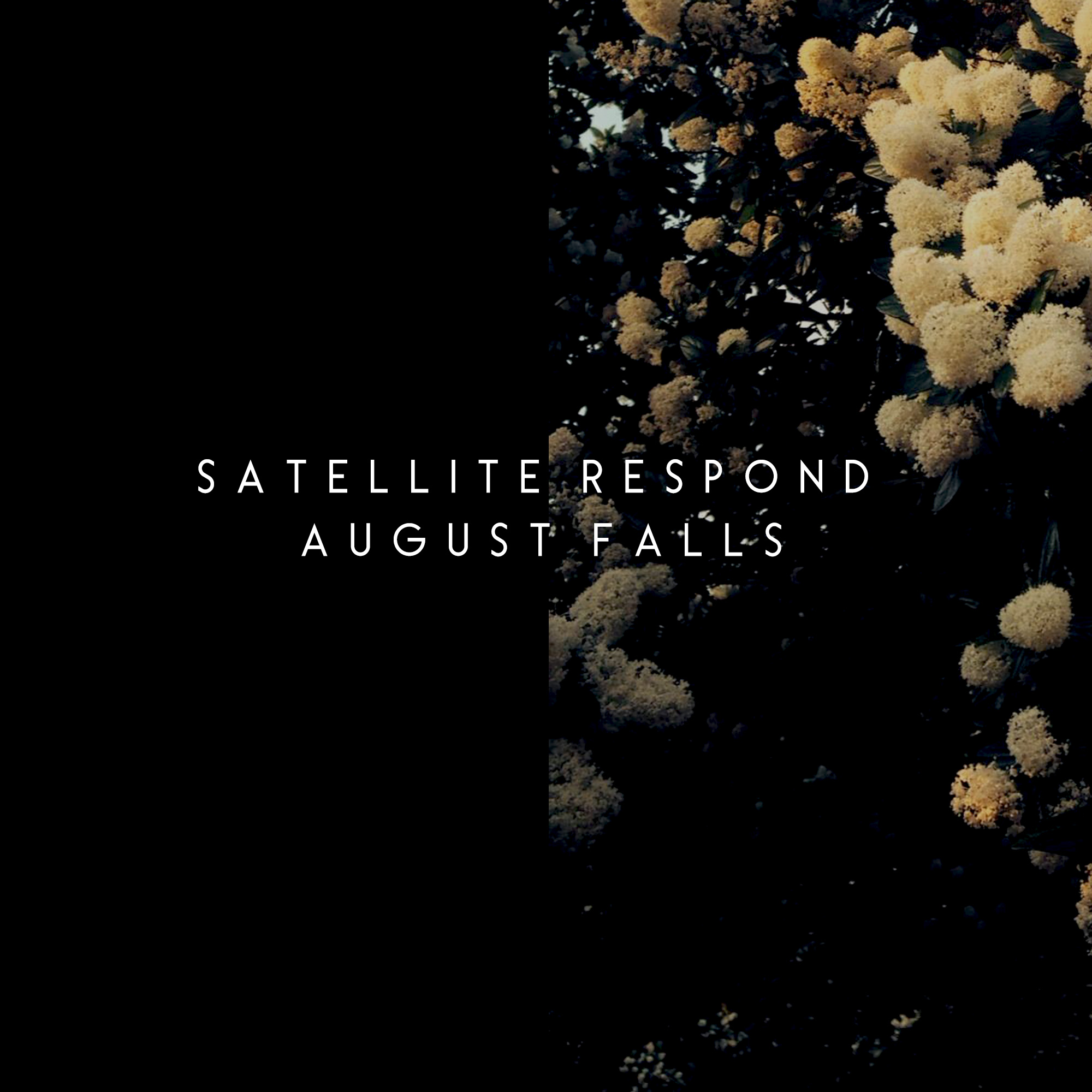 detail img for "Satellite Respond: August Falls"