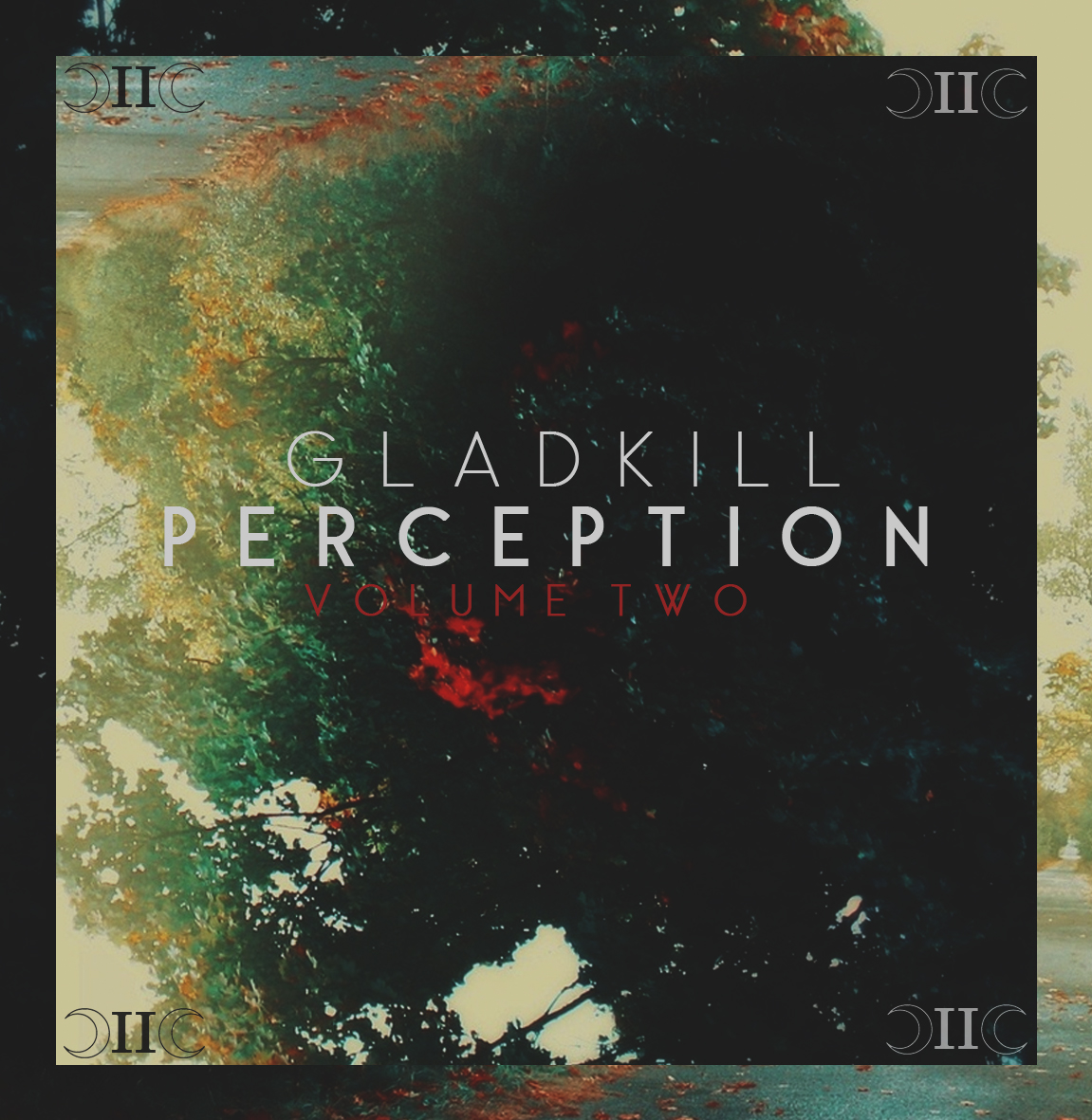Perception Volume Two cover